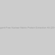 Image of Detergent-Free Nuclear Matrix Protein Extraction Kit (20 tests)